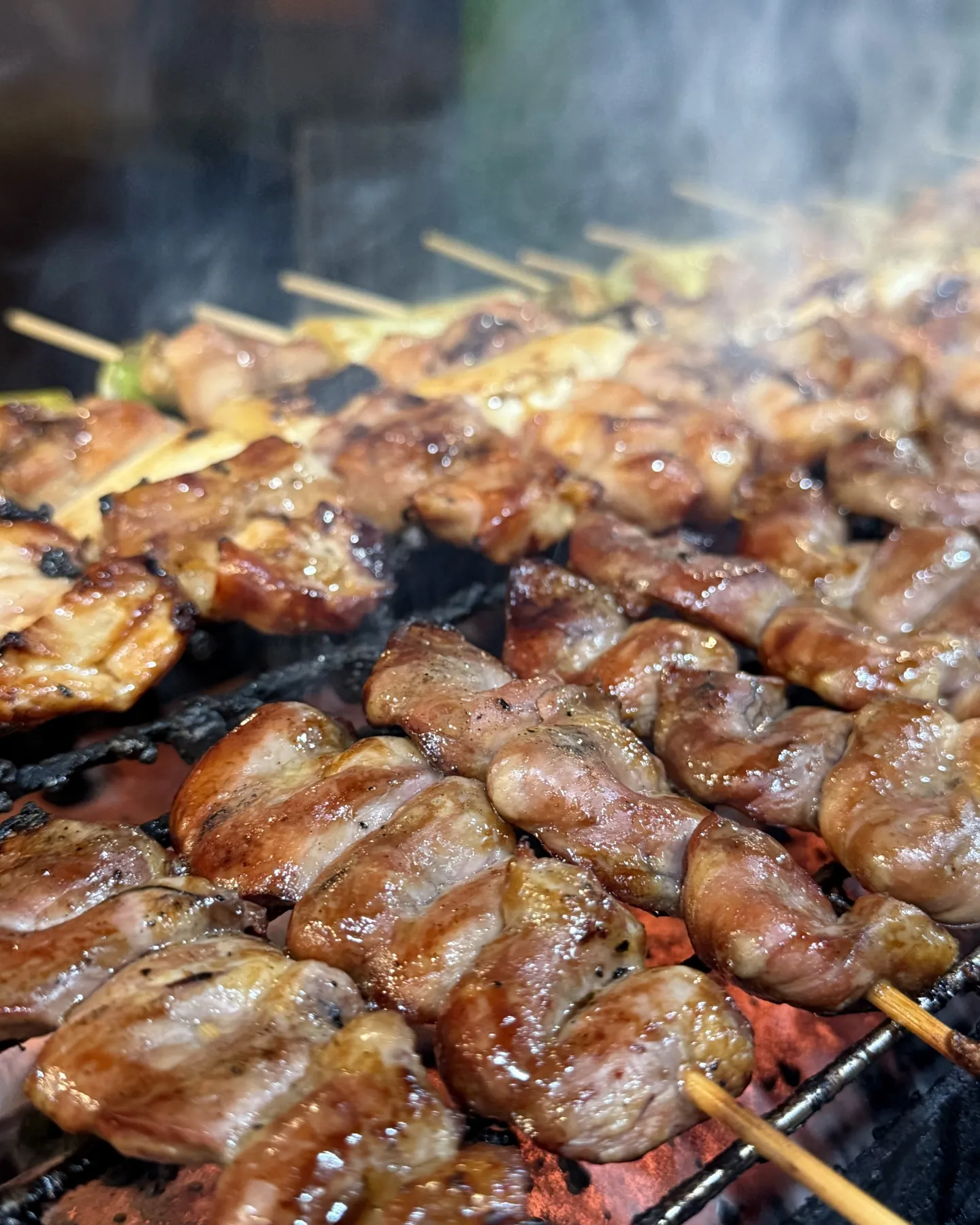 🚃《松山市駅すぐ！一人飲みに最適な立ち飲み焼き鳥》